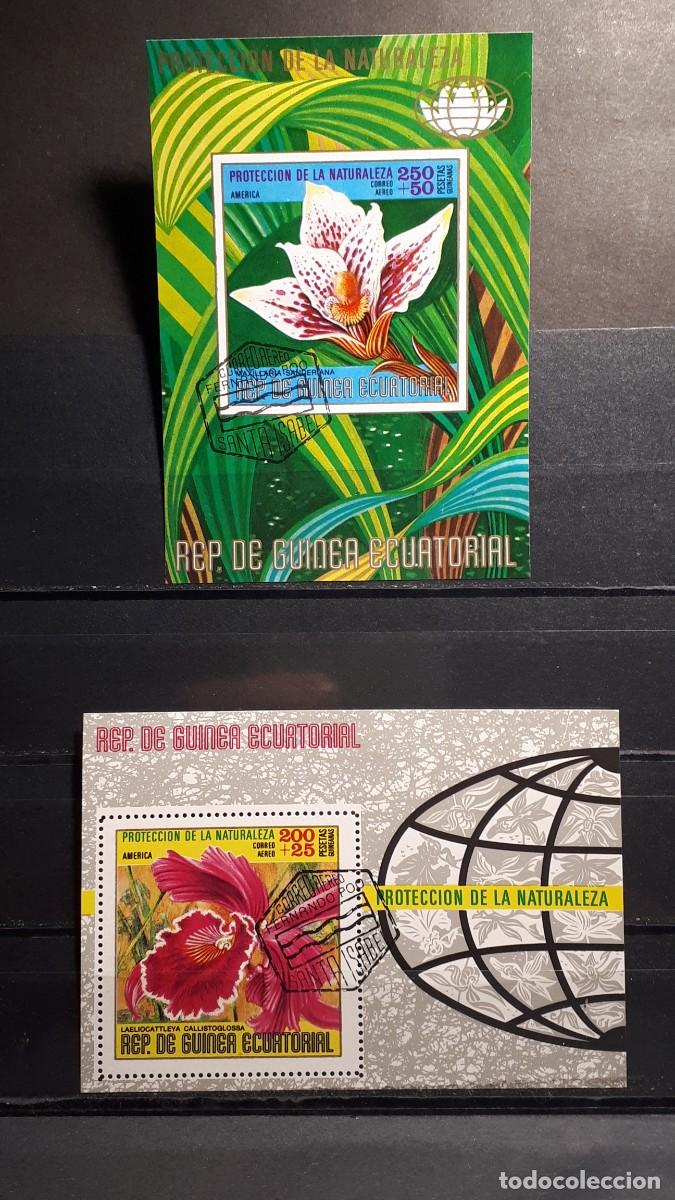 Sellos: GUINEA ECUATORIAL. A&Ntilde;O 1974.&deg;. HOJA BLOQUE