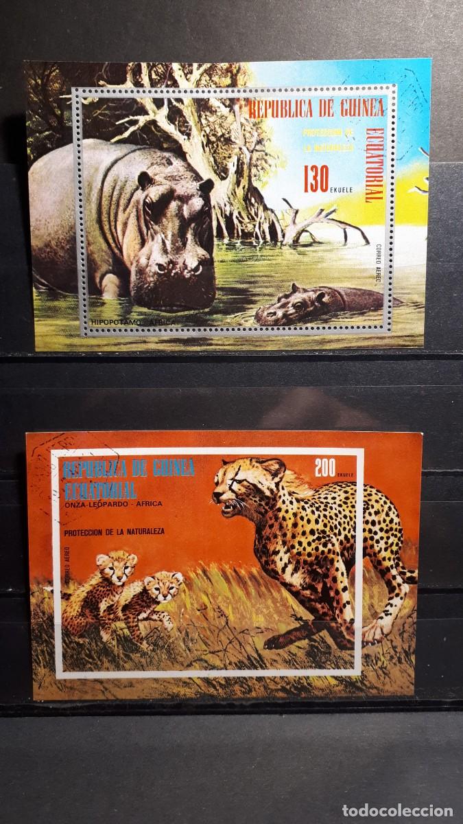 Sellos: GUINEA ECUATORIAL. A&Ntilde;O 1975.&deg;. HOJAS BLOQUE