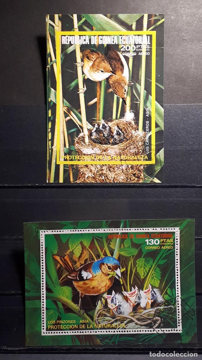 Sellos: GUINEA ECUATORIAL. A&Ntilde;O 1976.&deg;. HOJAS BLOQUE