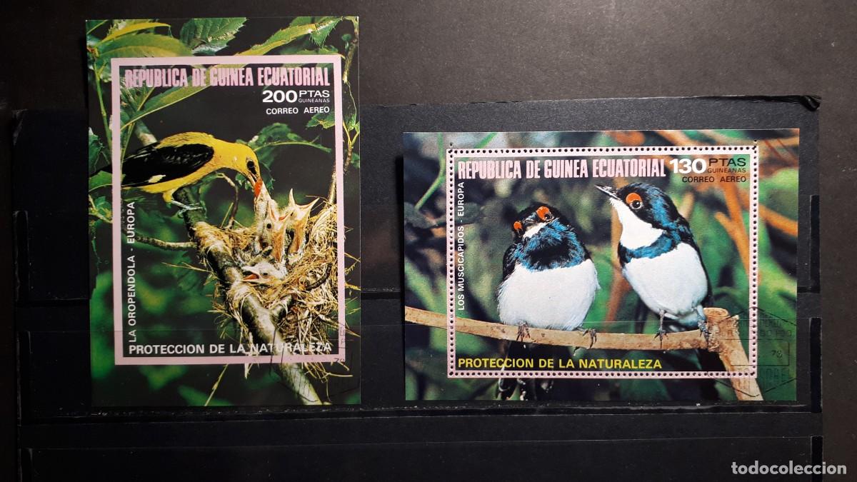 Sellos: GUINEA ECUATORIAL. A&Ntilde;O 1976.&deg;. HOJAS BLOQUE