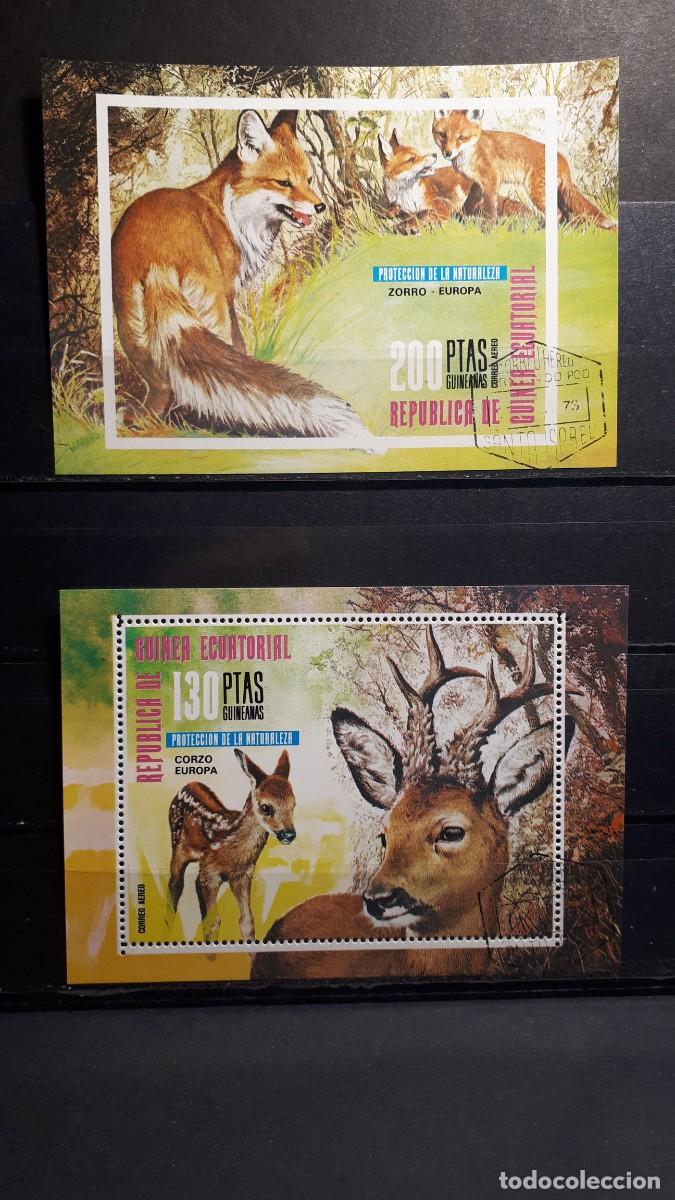Sellos: GUINEA ECUATORIAL. A&Ntilde;O 1976.&deg;. HOJAS BLOQUE