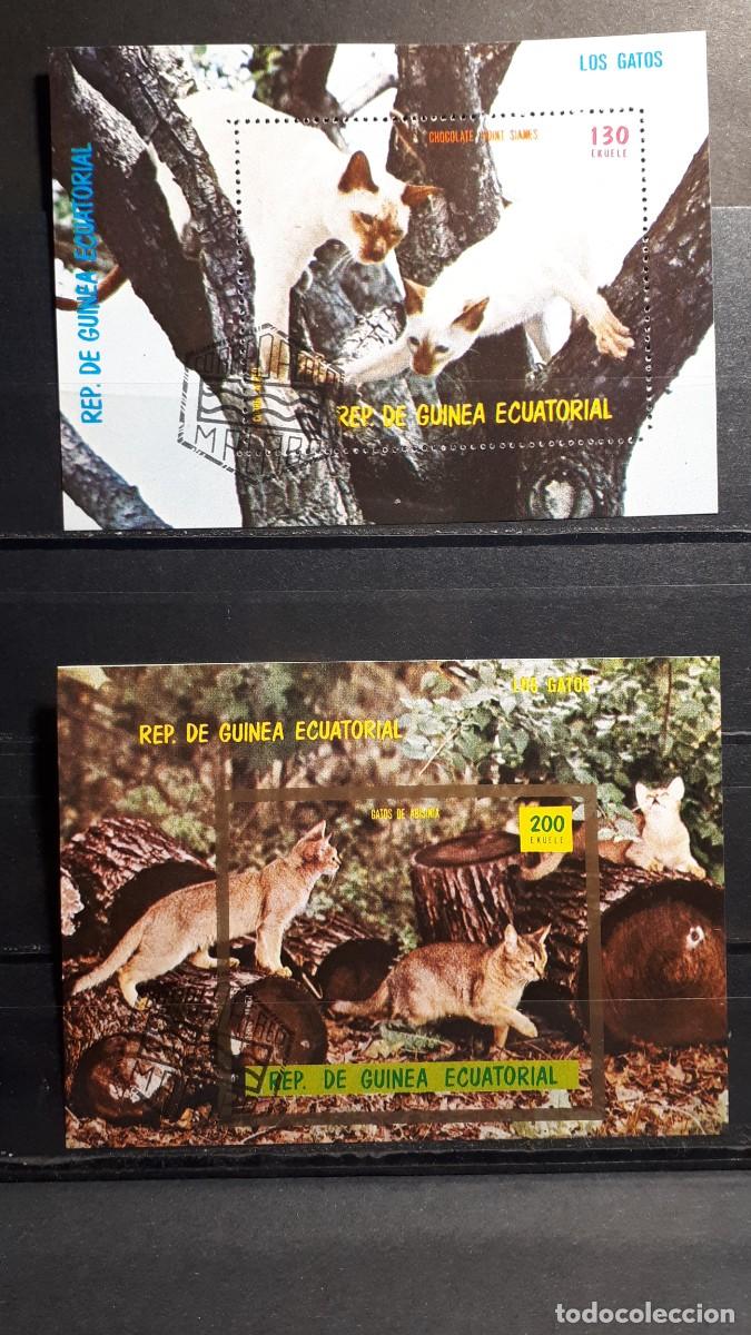 Sellos: GUINEA ECUATORIAL. A&Ntilde;O 1977.&deg;. HOJAS BLOQUE