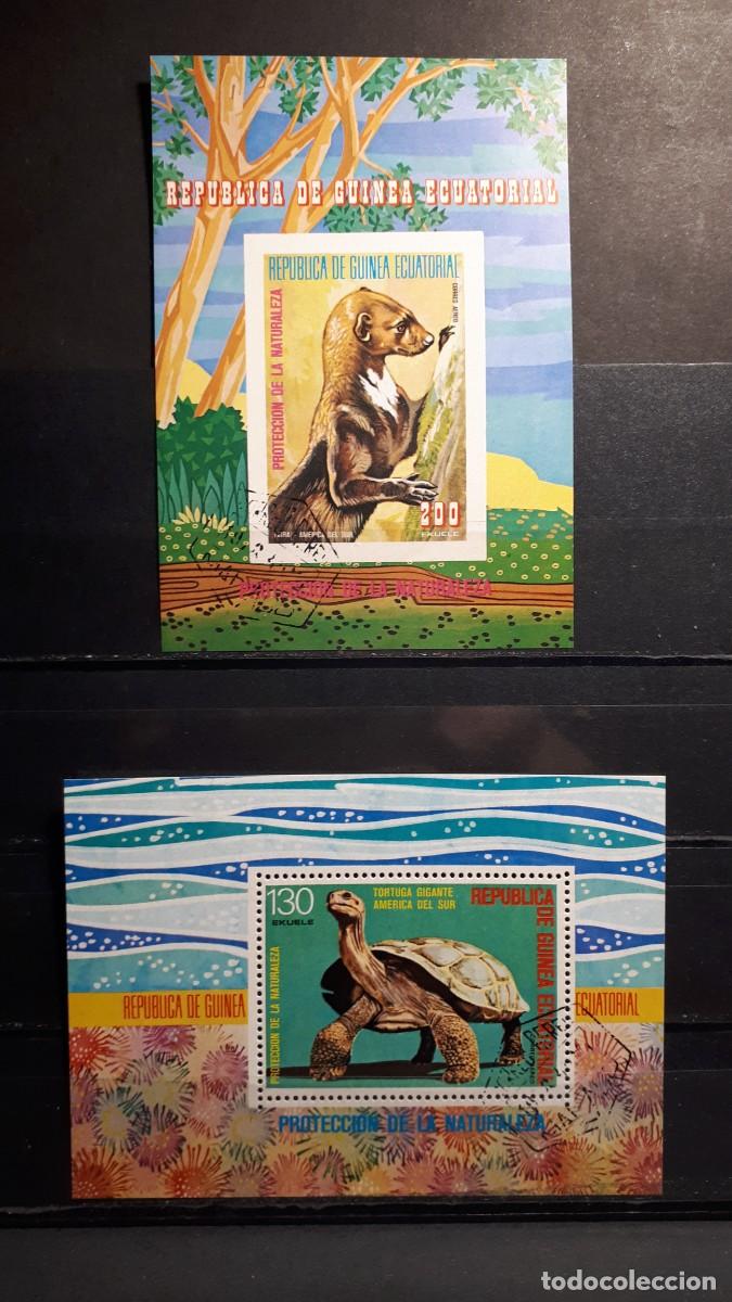 Sellos: GUINEA ECUATORIAL. A&Ntilde;O 1977. &deg;. HOJAS BLOQUE
