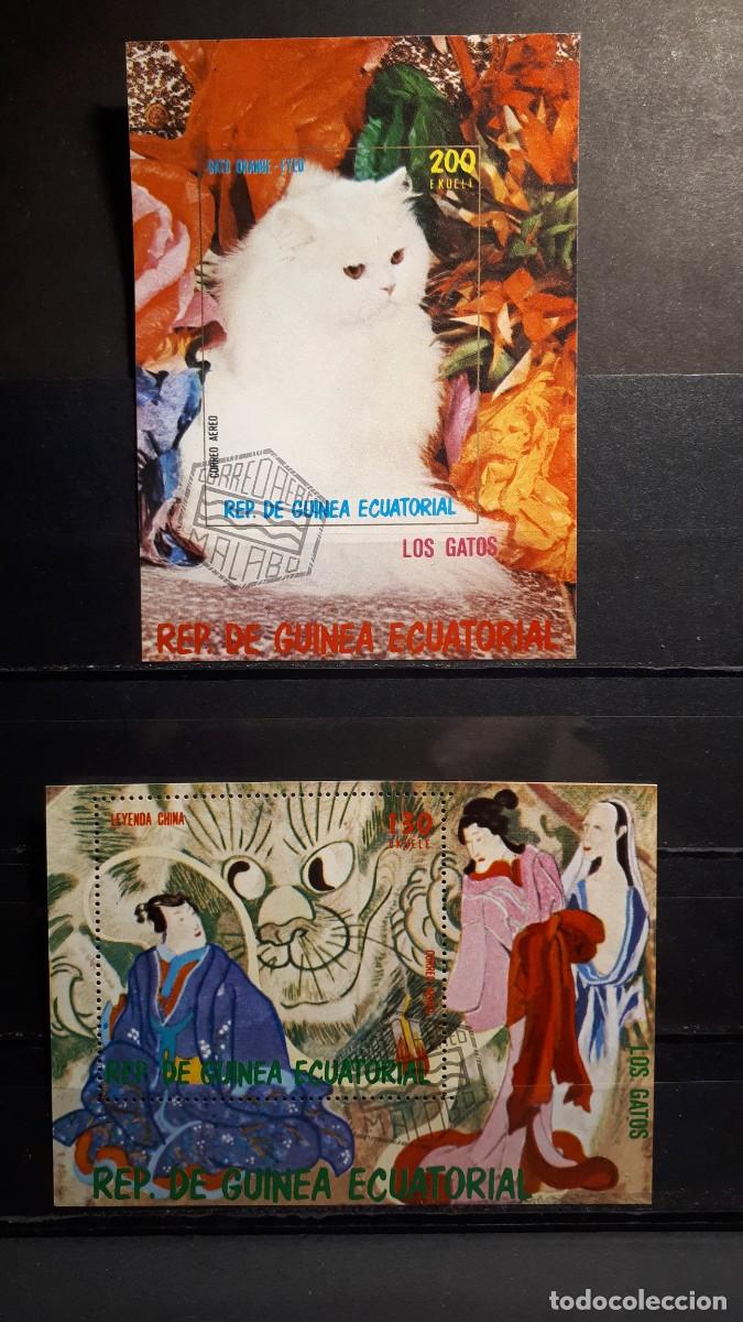 Sellos: GUINEA ECUATORIAL. A&Ntilde;O 1978. &deg;. HOJAS BLOQUE