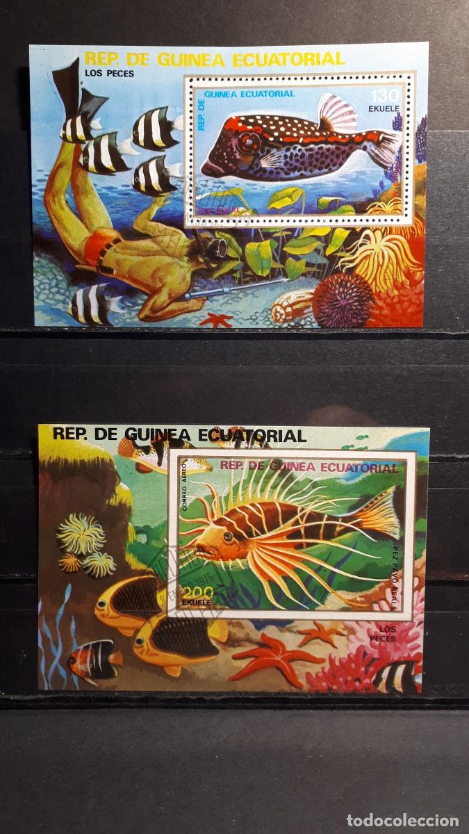 Sellos: GUINEA ECUATORIAL. A&Ntilde;O 1975. &deg;. HOJA BLOQUE