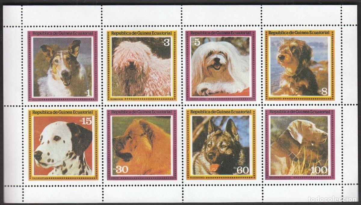 Sellos: GUINEA ECUATORIAL 1978 SHEET MNH DOGS CHIENS PERROS HUNDEN CANI CAES