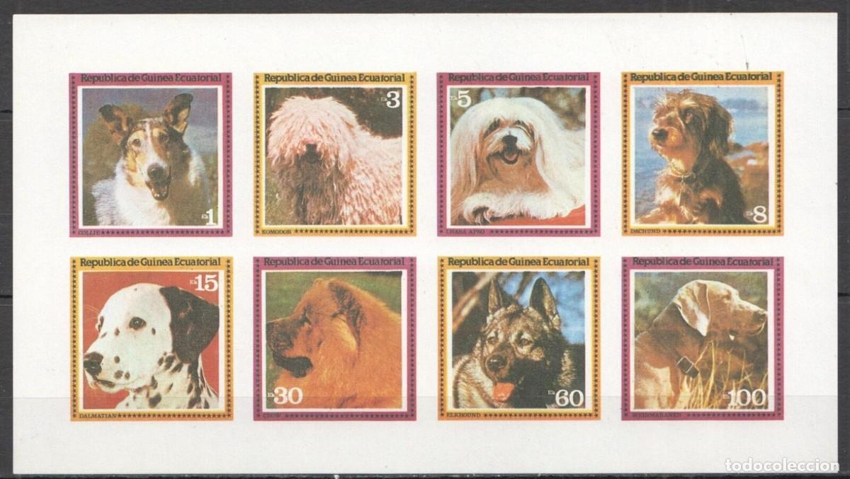 Sellos: GUINEA ECUATORIAL 1978 SHEET MNH IMPERF DOGS CHIENS PERROS HUNDEN CANI CAES