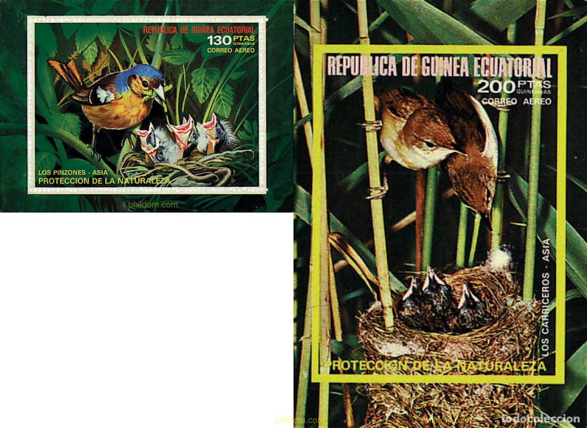 Sellos: 68785 MNH GUINEA ECUATORIAL 1976 PAJAROS PROTEGIDOS