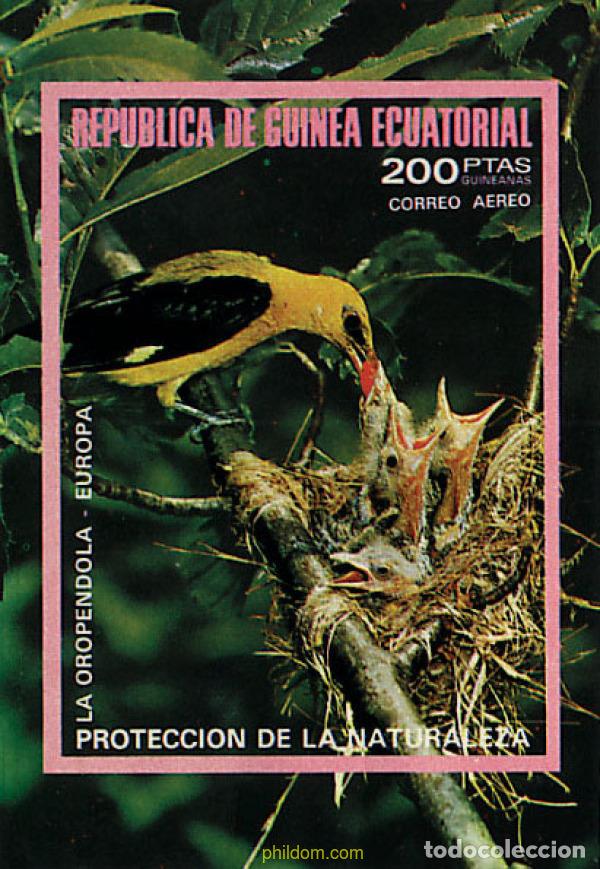 Sellos: 682602 MNH GUINEA ECUATORIAL 1976 PAJAROS PROTEGIDOS