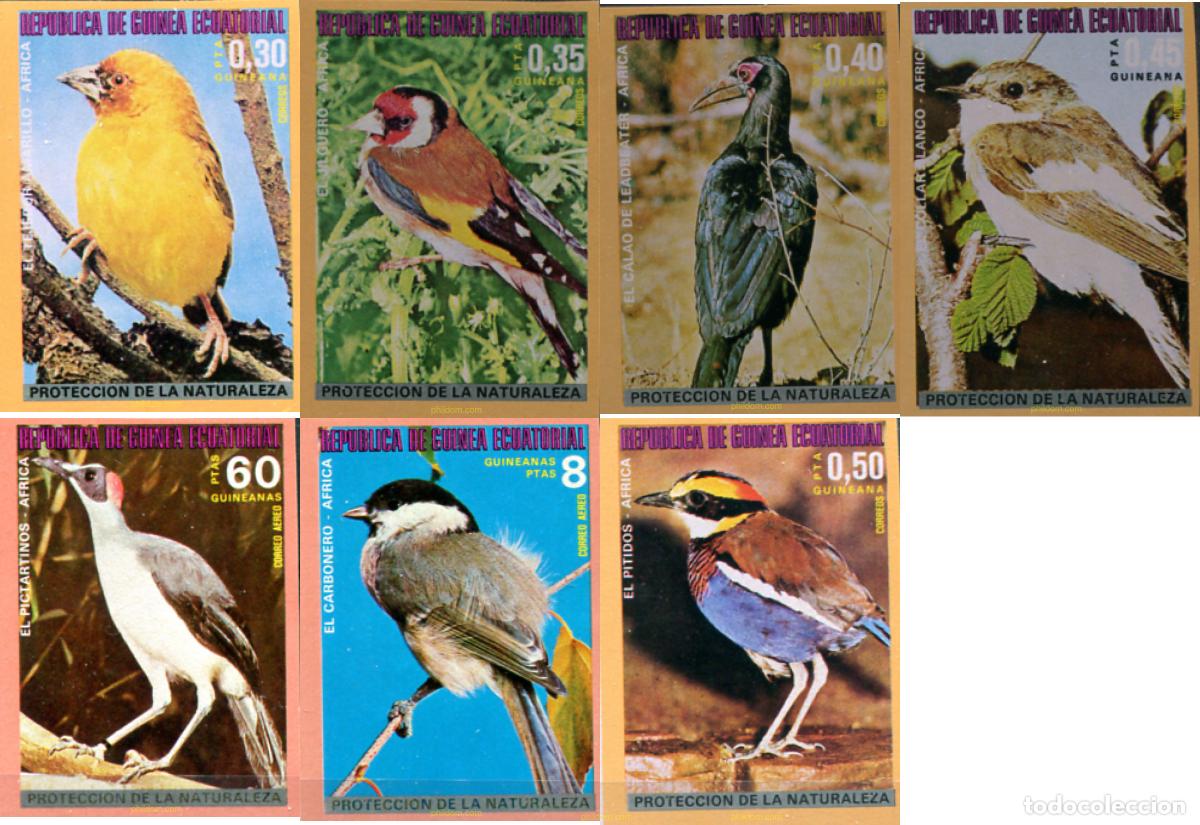Sellos: 185600 MNH GUINEA ECUATORIAL 1976 PAJAROS PROTEGIDOS