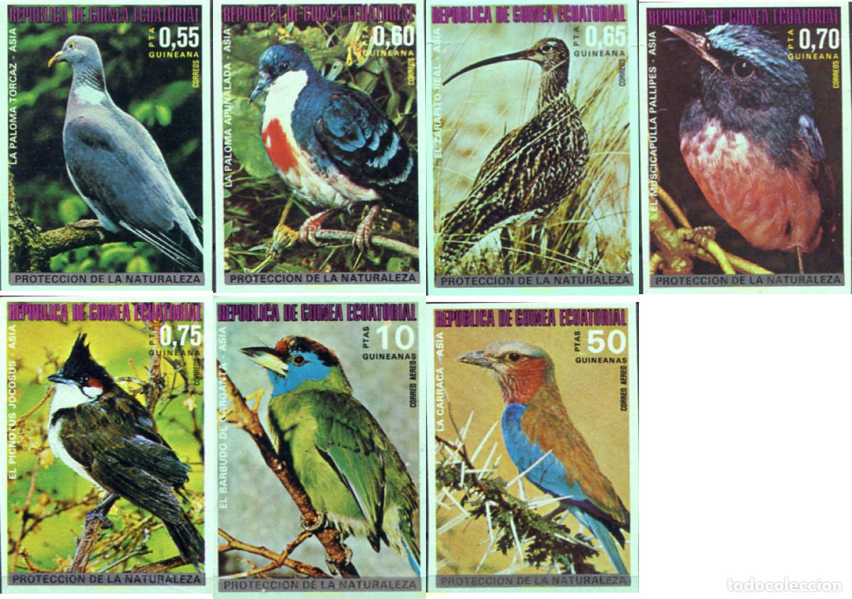 Sellos: 185599 MNH GUINEA ECUATORIAL 1976 PAJAROS PROTEGIDOS