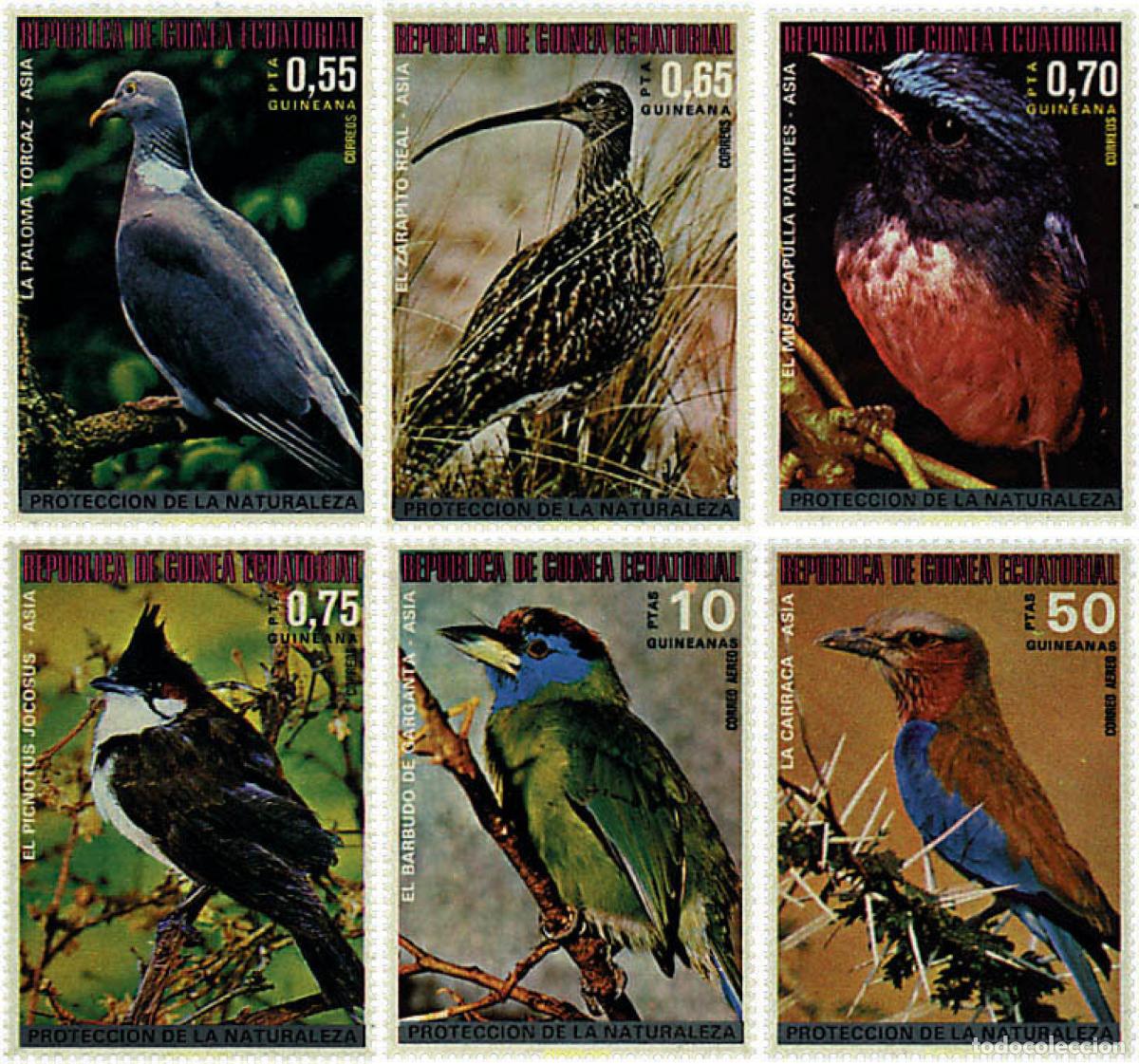 Sellos: 617935 MNH GUINEA ECUATORIAL 1976 PAJAROS PROTEGIDOS