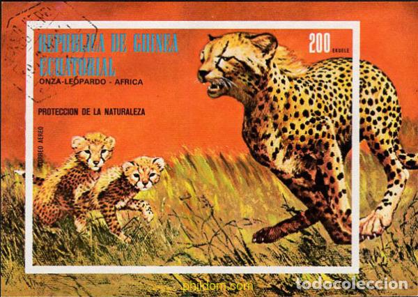 Sellos: 673087 USED GUINEA ECUATORIAL 1974 FAUNA AFRICANA