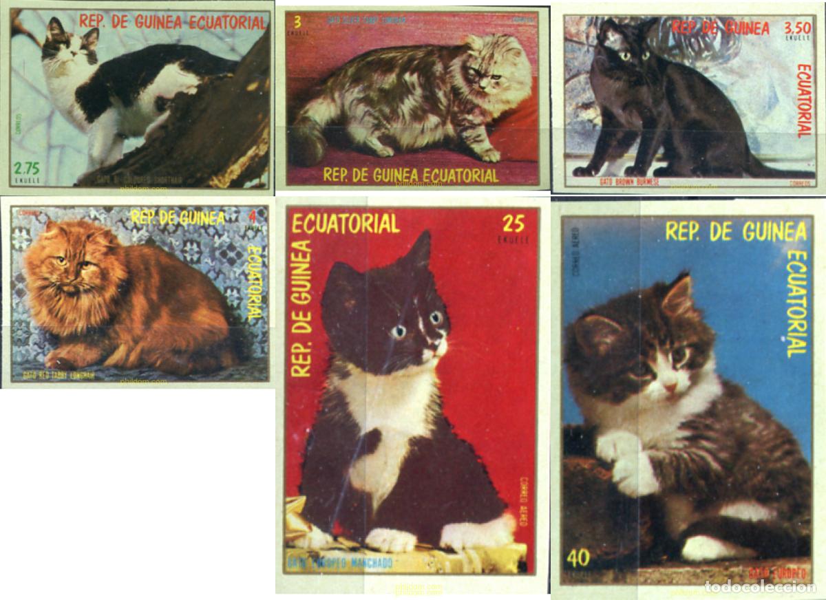 Sellos: 683569 MNH GUINEA ECUATORIAL 1978 GATOS