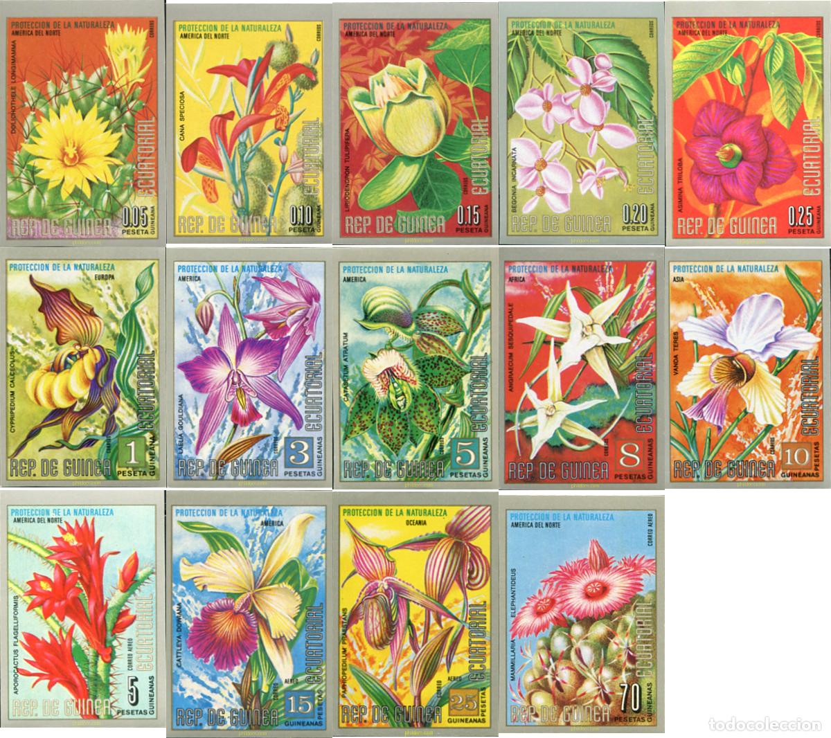 Sellos: 14186 MNH GUINEA ECUATORIAL 1974 FLORES DE NORTE AMERICA