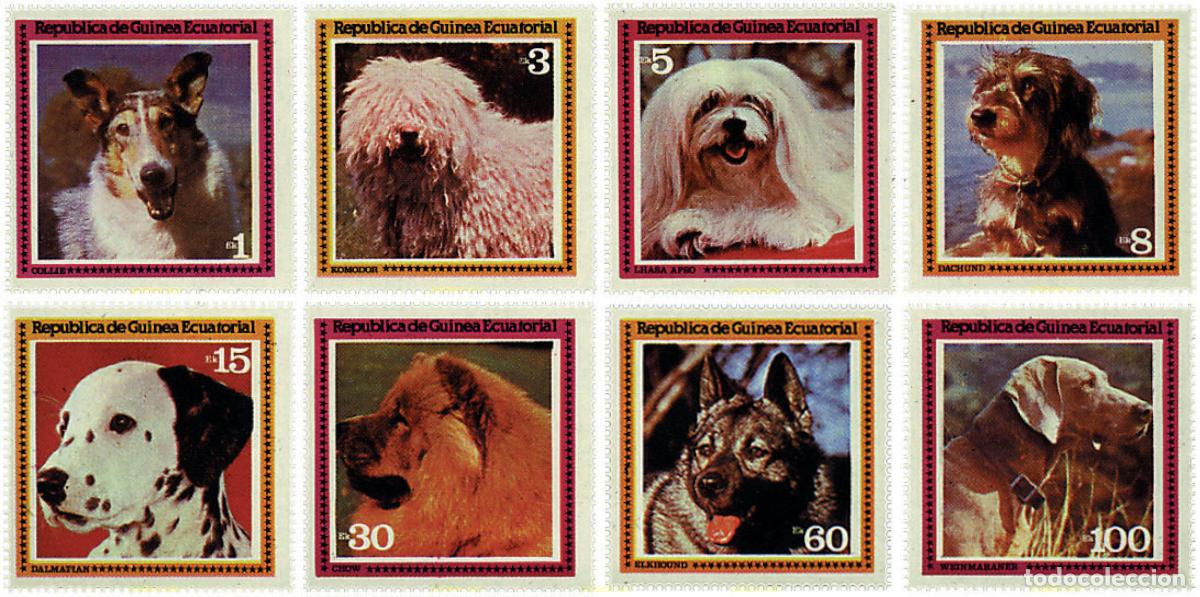 Sellos: 69786 MNH GUINEA ECUATORIAL 1978 PERROS DE RAZA