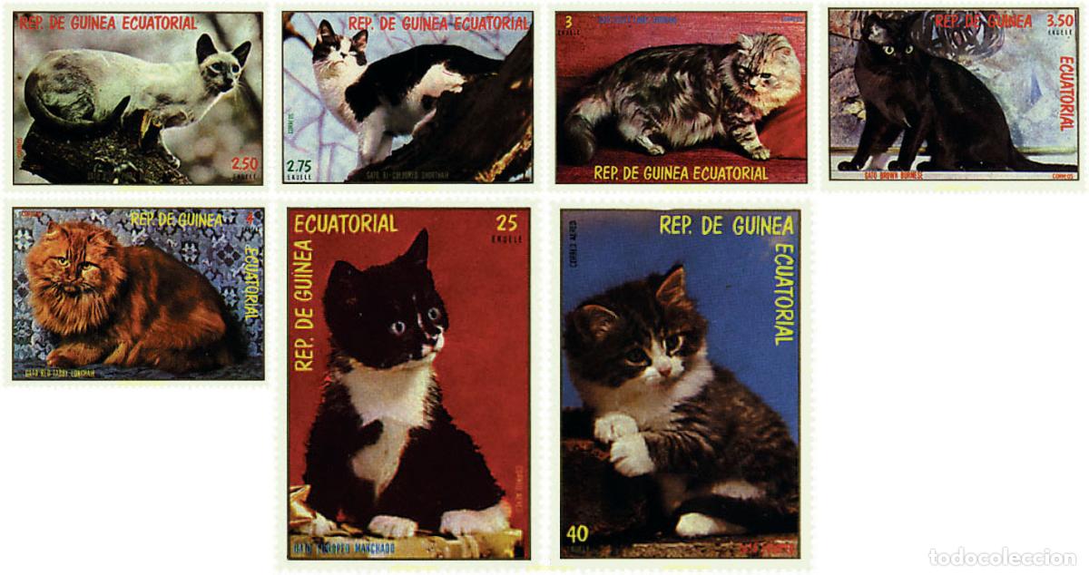Sellos: 69779 MNH GUINEA ECUATORIAL 1978 GATOS
