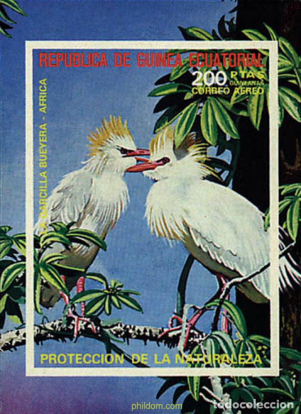 Sellos: 323131 MNH GUINEA ECUATORIAL 1976 PAJAROS PROTEGIDOS