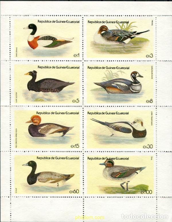 Sellos: 312688 MNH GUINEA ECUATORIAL 1978 AVES ACUATICAS