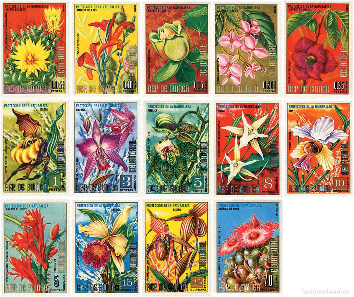Sellos: 96199 MNH GUINEA ECUATORIAL 1974 FLORES DE NORTE AMERICA