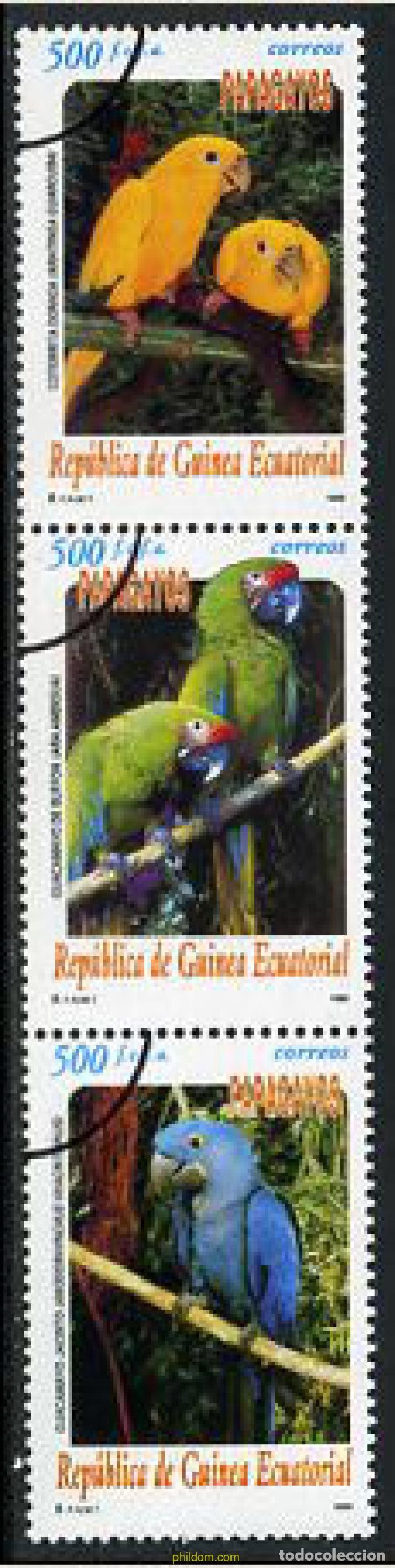 Sellos: 208671 MNH GUINEA ECUATORIAL 1999 LOROS