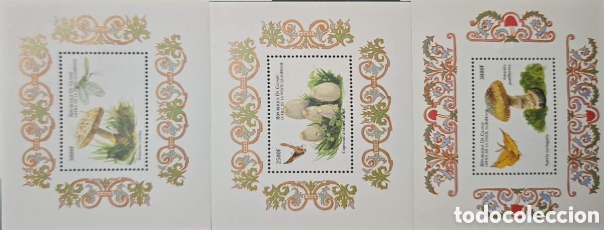 Sellos: CA)Guinea + 2000s + Mushroom Issue + Set of three ornate stamps featuring Amanita echino (3000f) wit