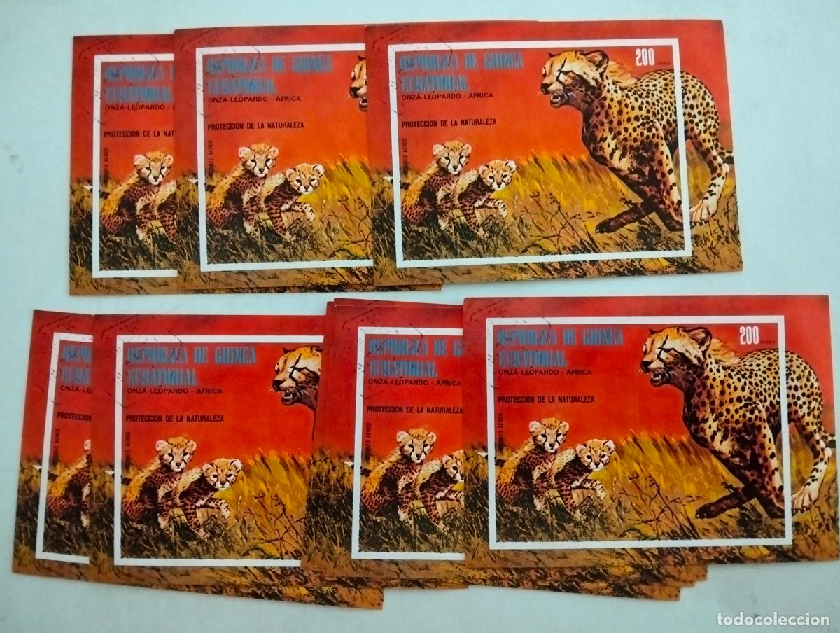 Sellos: 10 HOJAS BLOQUE, GUINEA ECUATORIAL, PROTECCION DE LA NATURALEZA, ONZA LEOPARDO-AFRICA
