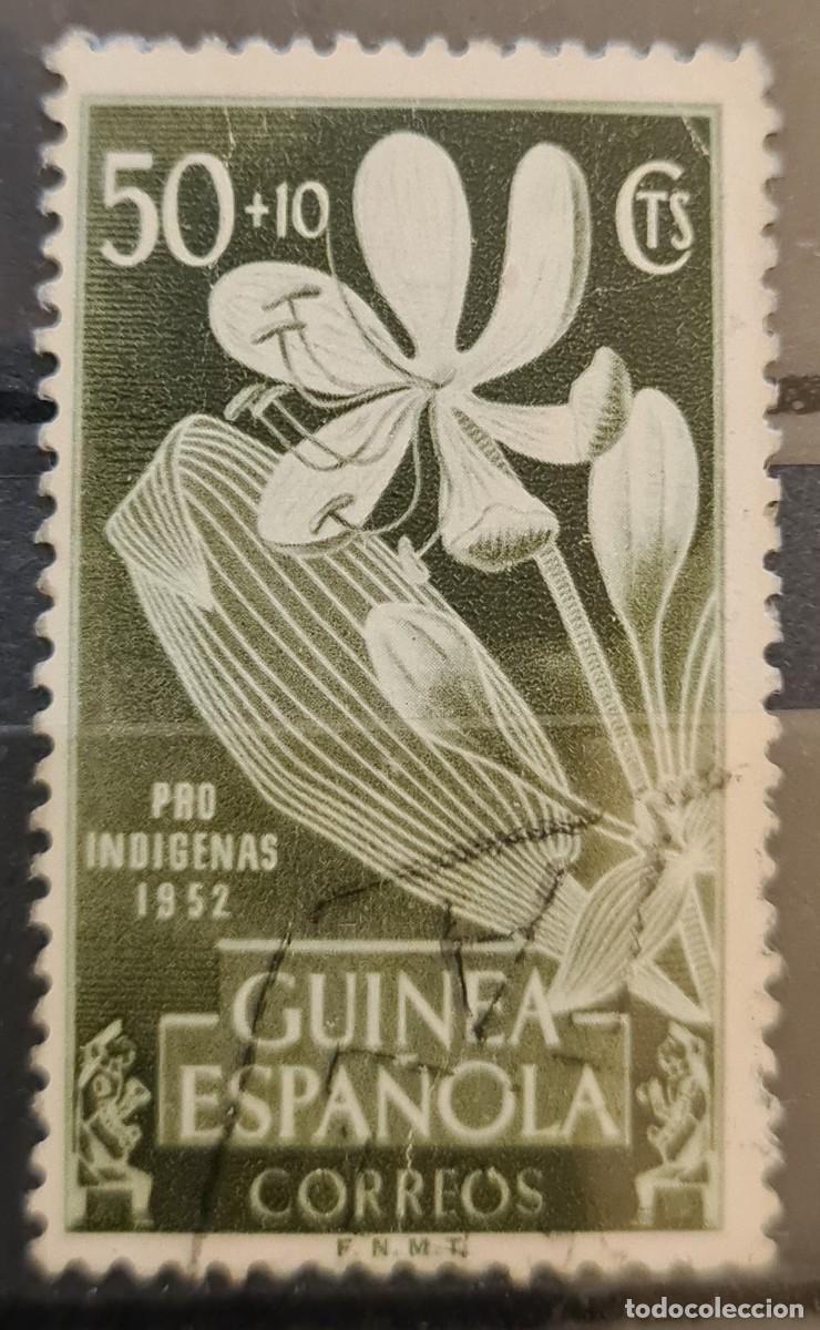 Sellos: Sello de Guinea Espa&ntilde;ola 1952: pro-ind&iacute;genas. Crinum giganteum