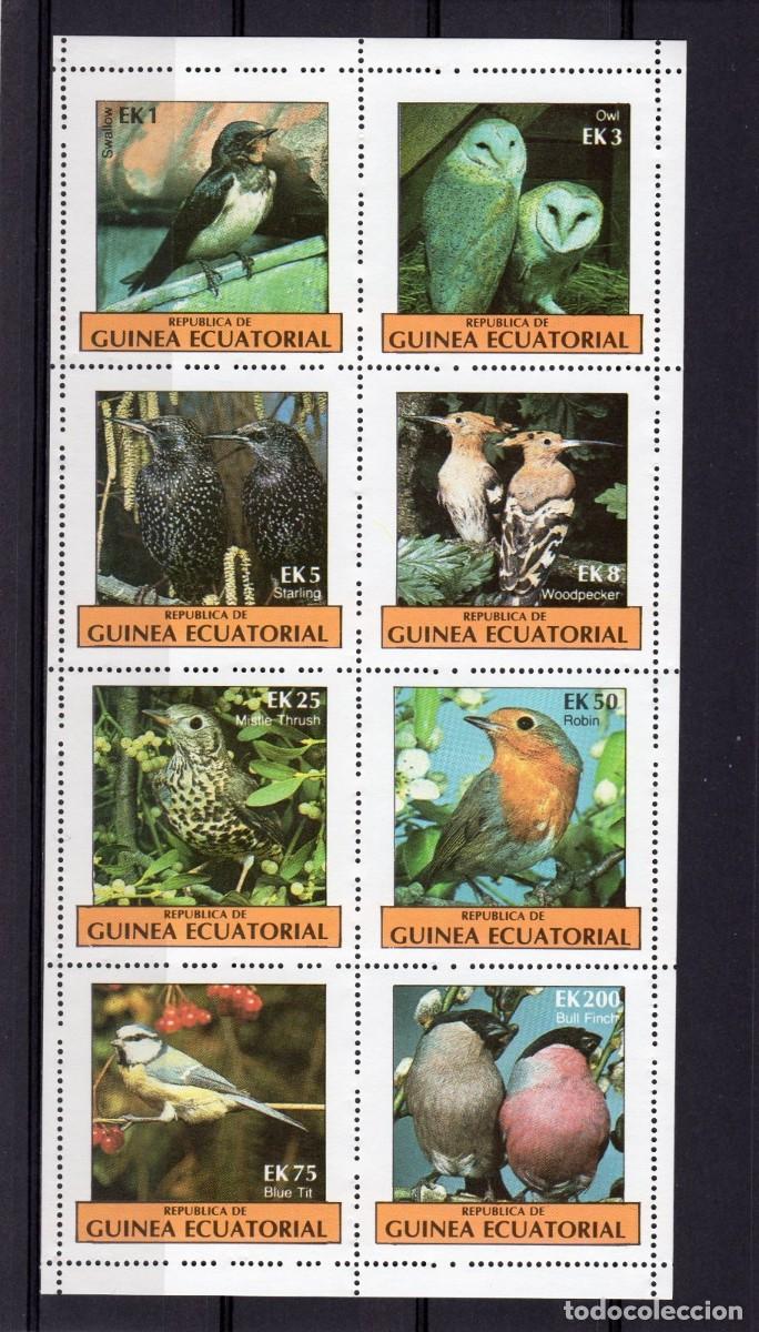 Sellos: GUINEA ECUATORIAL 1977 SHEET MNH FAUNA AVES BIRDS PAJAROS OISEAUX UCCELLI BUHOS OWLS LECHUZAS VOGELS