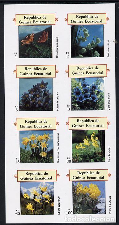 Sellos: GUINEA ECUATORIAL 1977 SHEET MNH IMPERF FLORES FLOWERS FLEURS BLUMEN FIORI