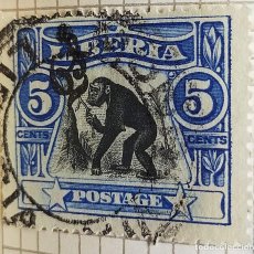 Selos: SELLO LIBERIA 1906 › CHIMPANCÉ OCCIDENTAL (PAN SATYRUS) – SOBREIMPRESIÓN 5 CÉNTIMO DE LIBERIA. Lote 321211383