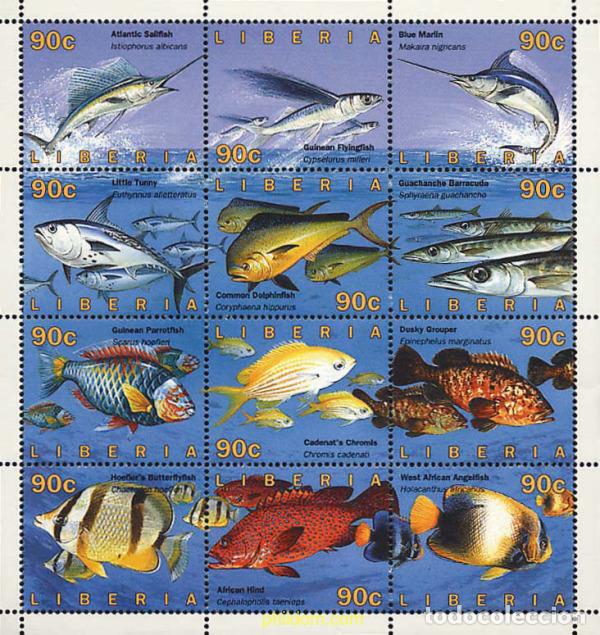 Sellos: 292265 MNH LIBERIA 1996 FAUNA MARINA