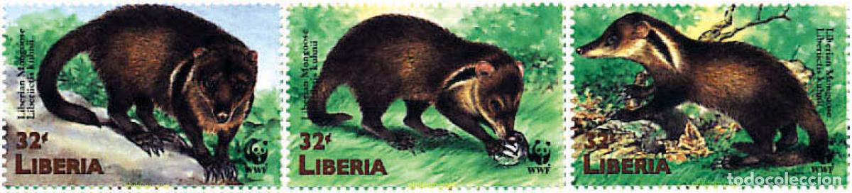 Sellos: 275294 MNH LIBERIA 1998 MANGOSTA DE LIBERIA