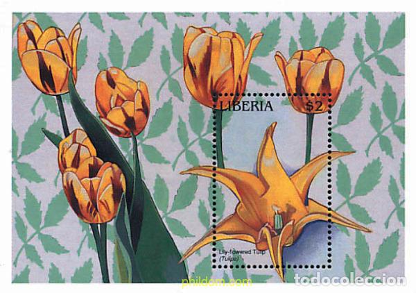 Sellos: 293069 MNH LIBERIA 1997 FLORES DEL MUNDO