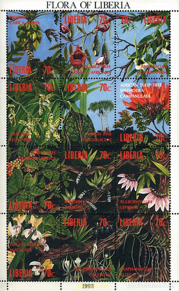 Sellos: 302968 MNH LIBERIA 1993 FLORA DE LIBERIA