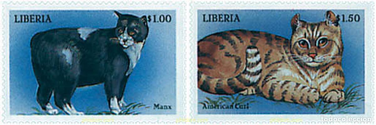 Sellos: 52284 MNH LIBERIA 1999 GATOS