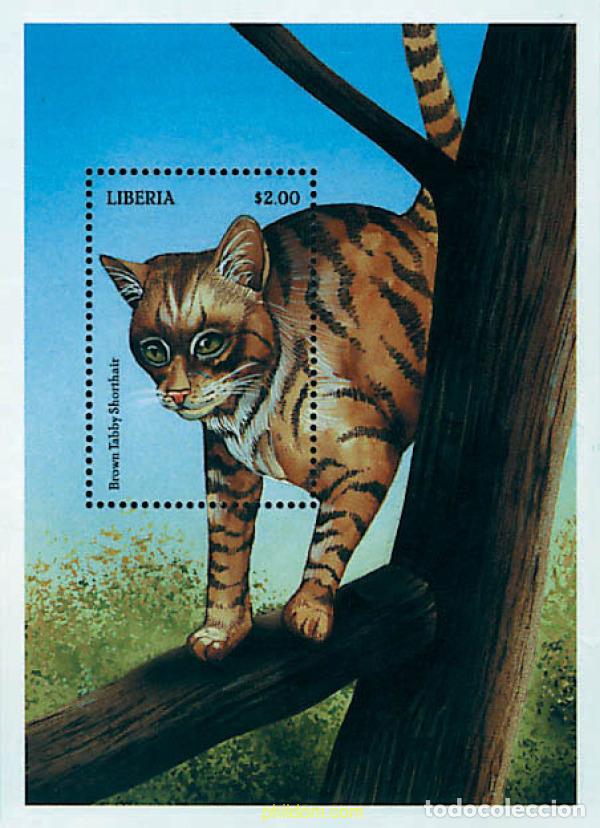 Sellos: 52283 MNH LIBERIA 1999 GATOS