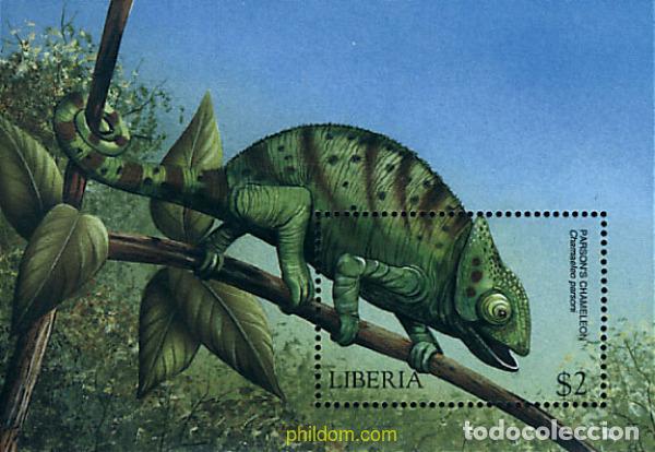 Sellos: 338735 MNH LIBERIA 1999 FLORA Y FAUNA DEL MUNDO