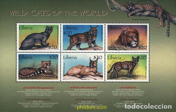 Sellos: 620821 MNH LIBERIA 1999 GATOS SALVAJES DEL MUNDO