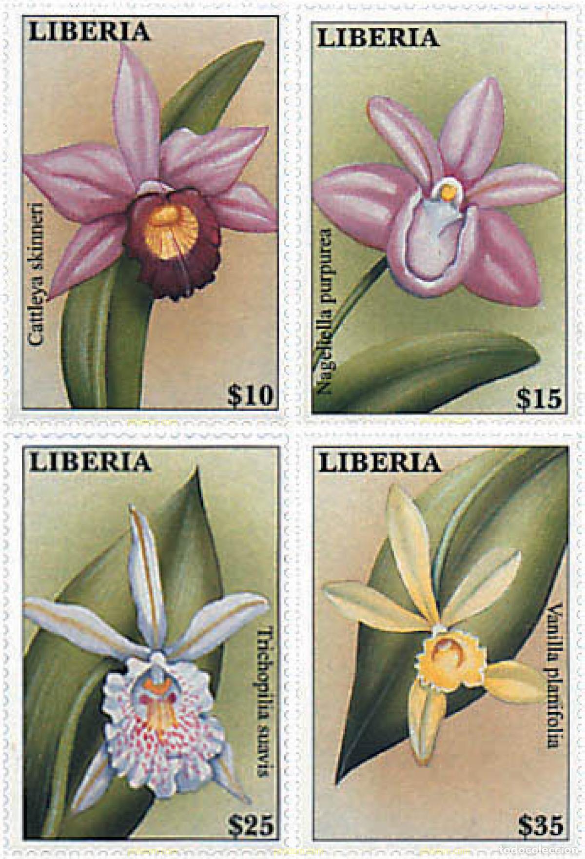 Sellos: 94625 MNH LIBERIA 2000 ORQUIDEAS TROPICALES