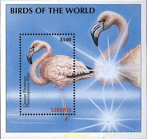 Sellos: 621208 MNH LIBERIA 2000 AVES DEL MUNDO