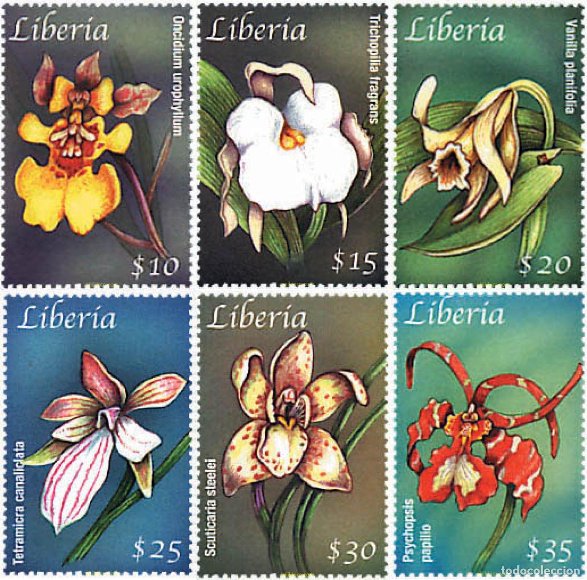 Sellos: 180787 MNH LIBERIA 2001 EL MUNDO DE LAS FLORES TROPICALES