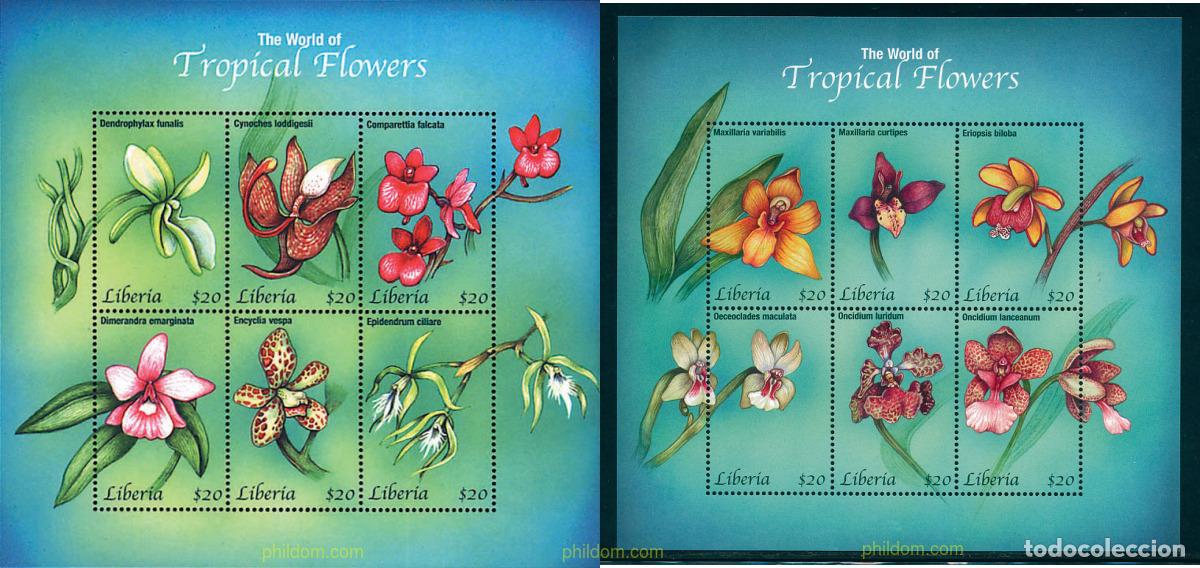Sellos: 621015 MNH LIBERIA 2001 EL MUNDO DE LAS FLORES TROPICALES