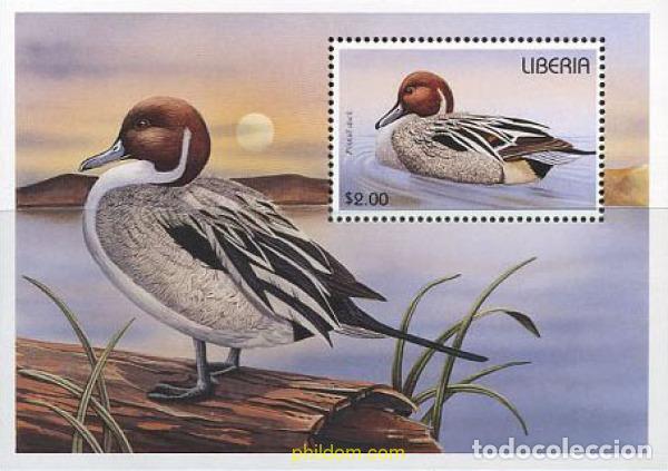 Sellos: 135440 MNH LIBERIA 1996 AVES