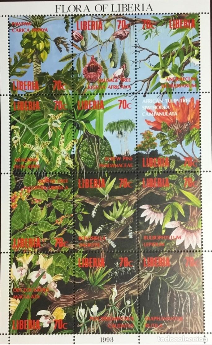 Sellos: LIBERIA 1993 SHEET MNH ORCHIDS ORCHIDEES ORQUIDEAS ORCHIDEEN ORCHIDEE FLORES FLOWERS BLUMEN