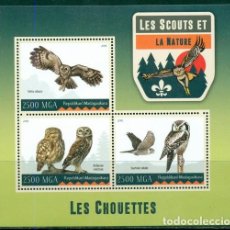 Timbres: MADAGASCAR 2016 SHEET MNH SCOUTS SCOUTISME ESCULTISMO PFADFINDER OWLS CHOUETTES HIBOUX EULEN BUHOS. Lote 326621933