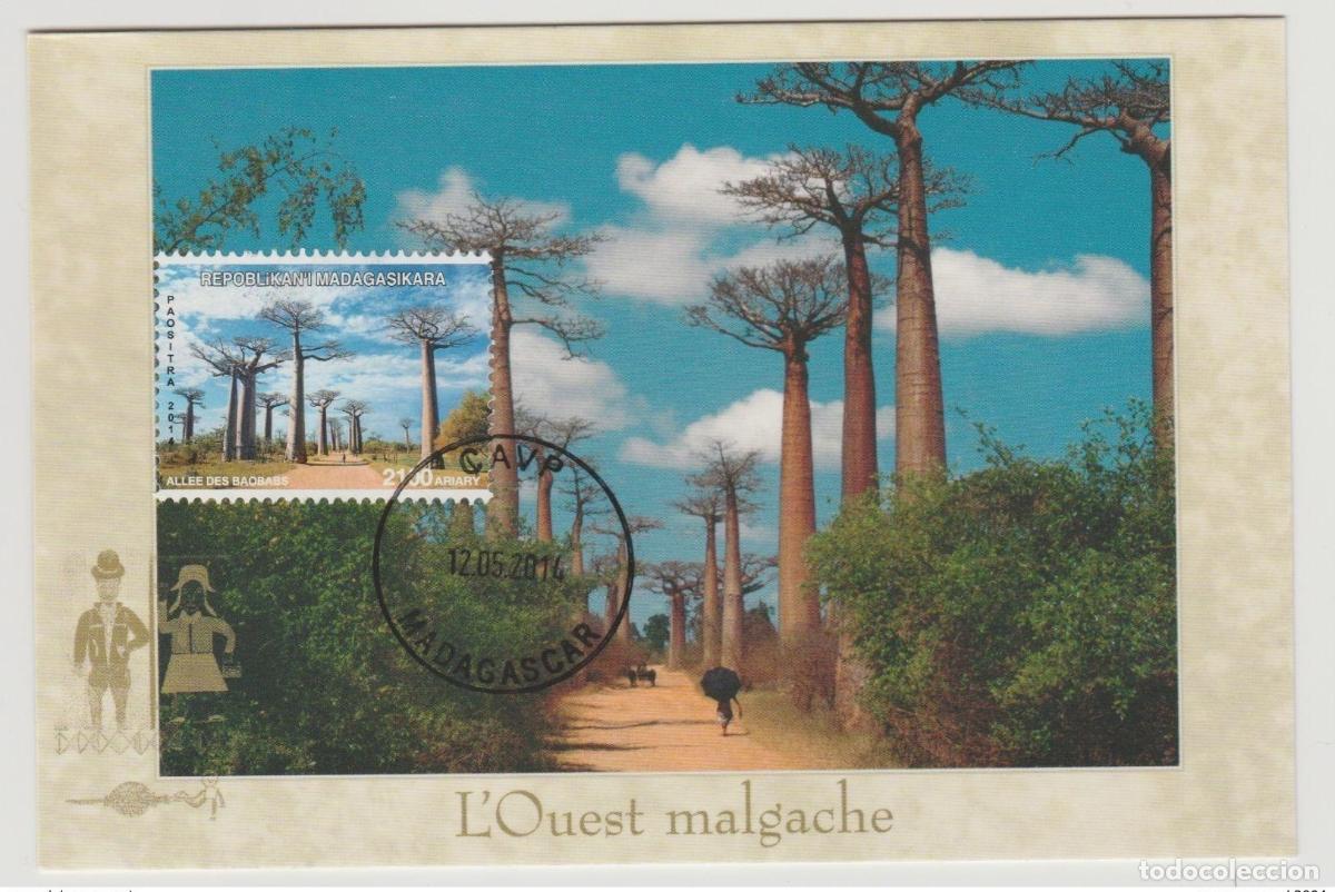 Sellos: Mapa maxi de Madagascar 2014 Mi. 2666 &aacute;rboles baobabs China emisi&oacute;n com&uacute;n II