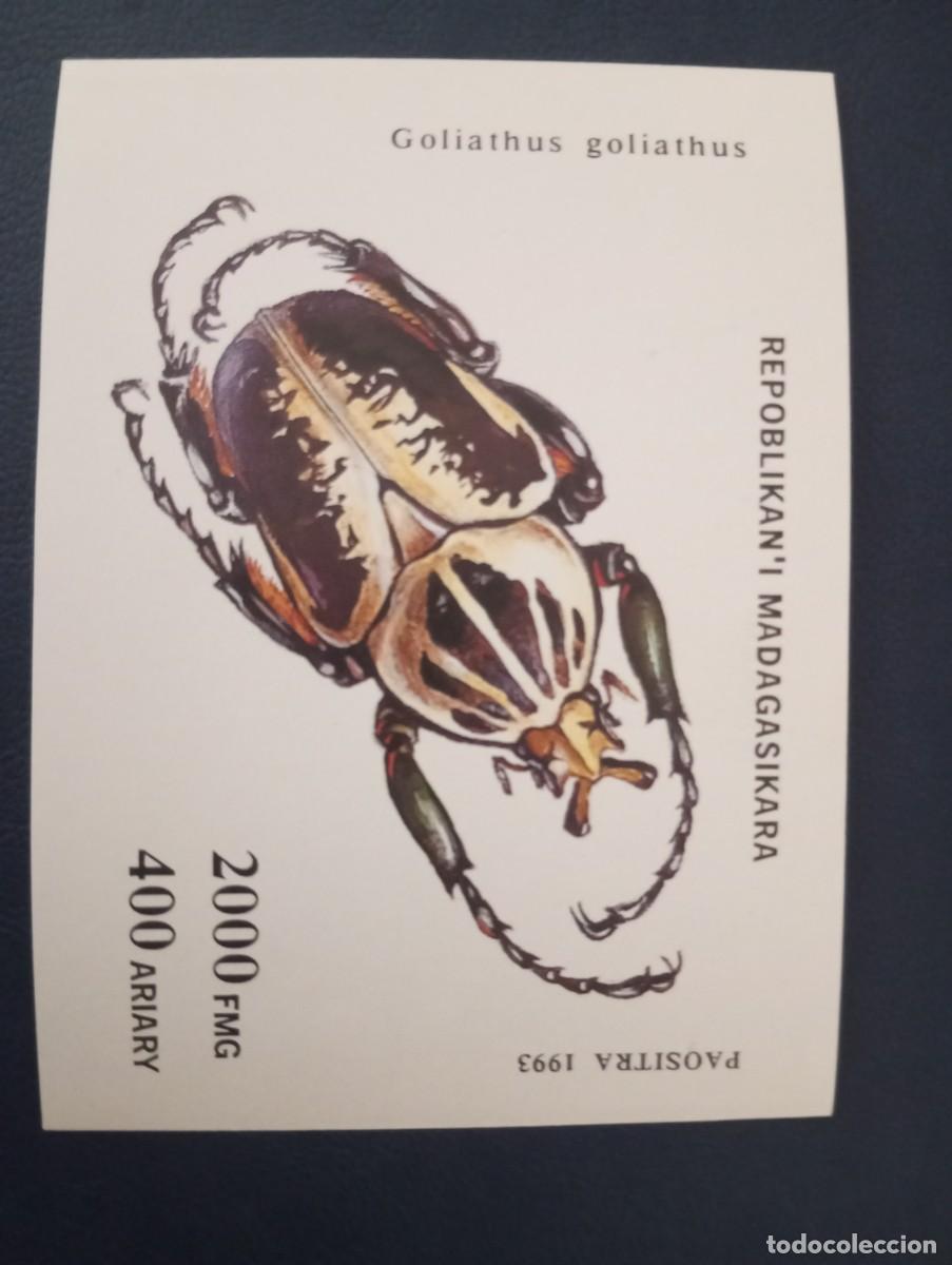 Sellos: MADAGASCAR, 1993, INSECTOS