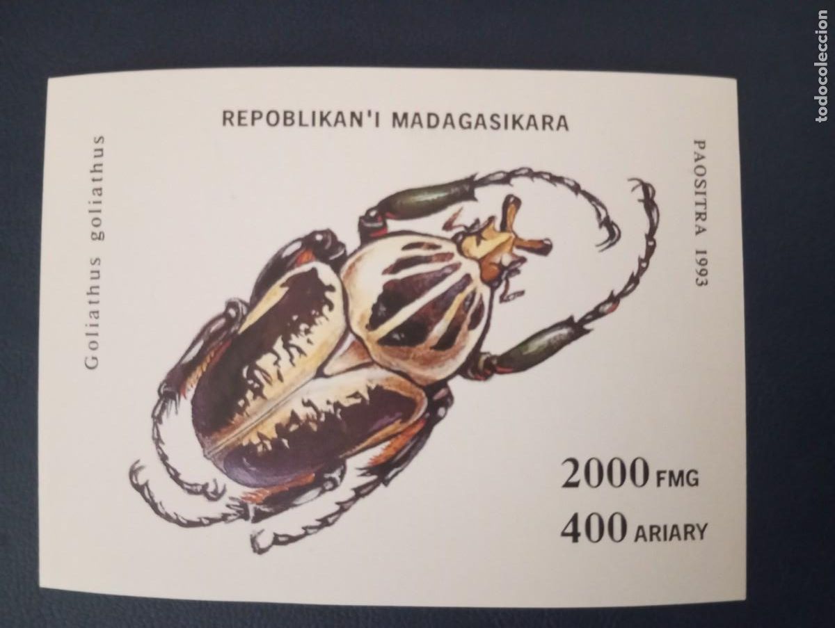 Sellos: MADAGASCAR, 1993, INSECTOS