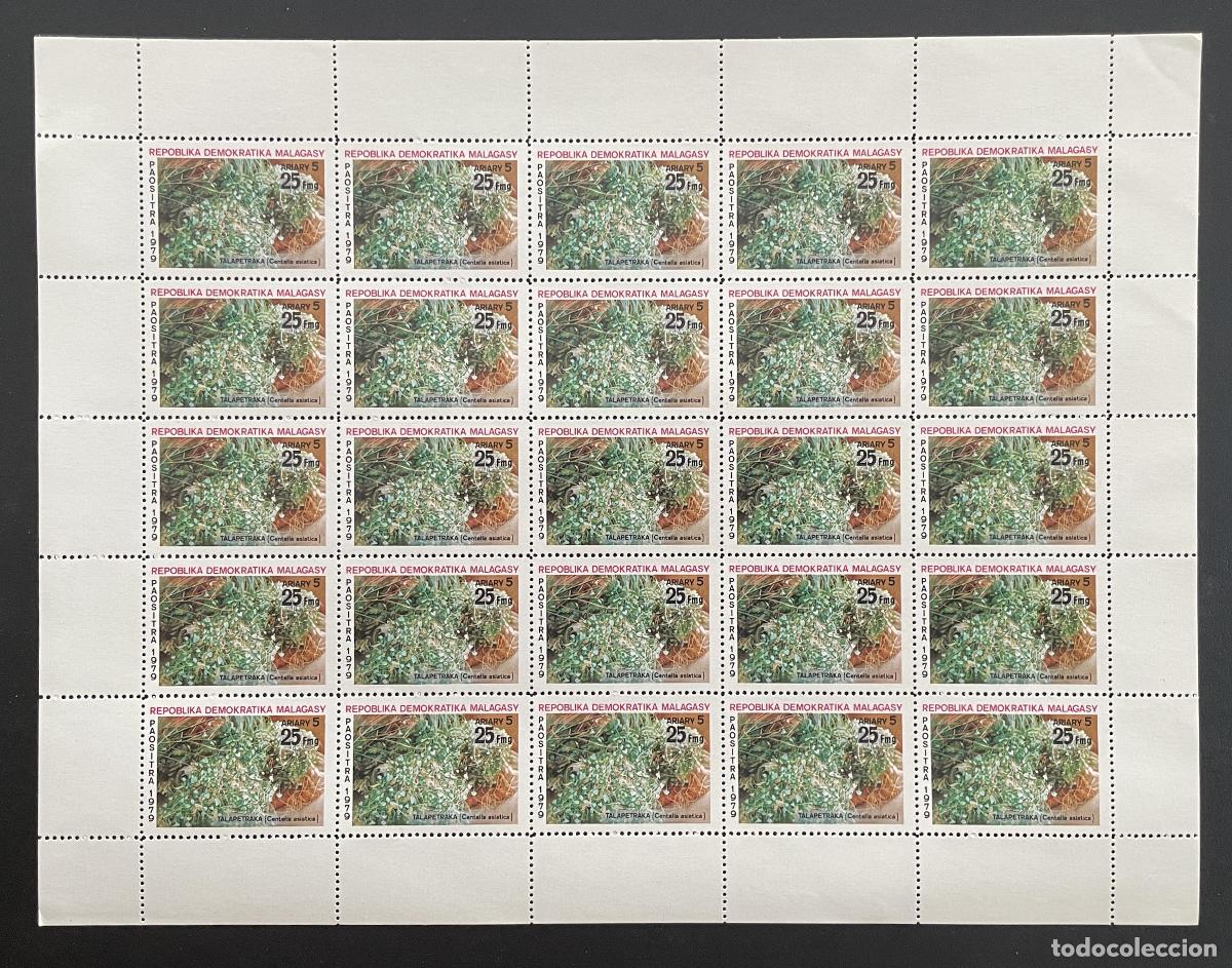 Sellos: Madagascar 1979 YT 631 bloque Talapetraka Centella asiatica planta